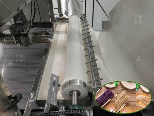 麗星機(jī)械 卓越售后服務(wù)守護(hù)水晶粉條加工設(shè)備高效運(yùn)轉(zhuǎn)